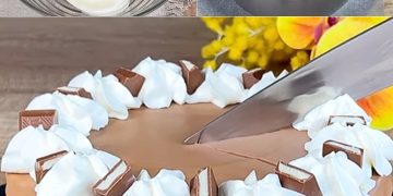 Schokoladen-Käsekuchen: das frische und cremige Dessert zum Probieren