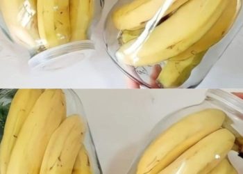 Keine faulen und schwarzen Bananen mehr nach ein paar Tagen: Mit dieser Methode halten sie 2 Jahre