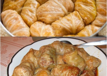 geschmorte Kohlrouladen