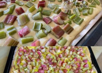 Quark Rhabarberkuchen mit Vanillepudding