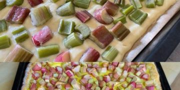 Quark Rhabarberkuchen mit Vanillepudding