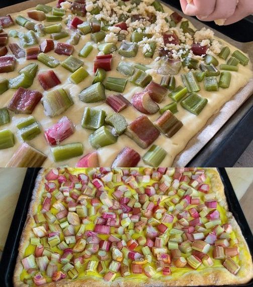 Quark Rhabarberkuchen mit Vanillepudding