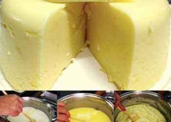 Selbstgemachter Frischkäse in 15 Minuten