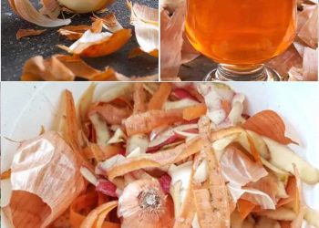 15 Verwendungsmöglichkeiten für Zwiebelschalen, von denen Sie gerne gewusst hätten, dass Sie sie schon einmal kennengelernt haben