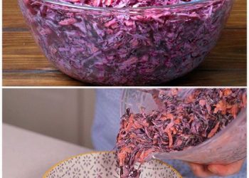 Schneller Rotkohlsalat superlecker und gut zum abnehmen