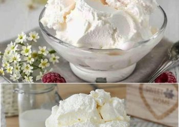 Joghurteis in 2 Minuten das bereite ich jedes Jahr