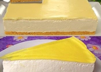 Zitronen Joghurt Torte, Der Wahnsinn