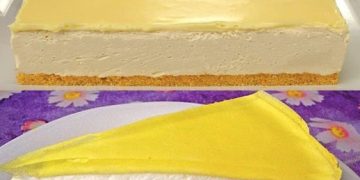Zitronen Joghurt Torte, Der Wahnsinn