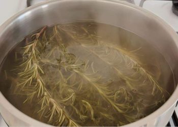 Kochen Sie 5 Zweige Rosmarin, Sie werden ein lästiges Problem los