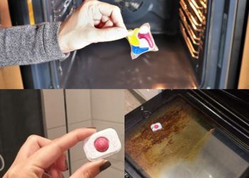 So reinigen Sie den Backofen ohne Zeit- und Kraftaufwand: Nur so glänzt er