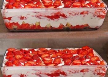 Erdbeer Tiramisu, in 10 Minuten fertig