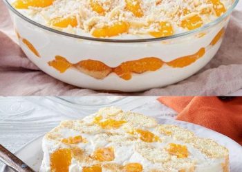 Fantastisches Mandarinen Tiramisu