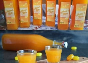 Der beste Likör den je gemacht habe, Nimm 2 Schnaps, kleiner Süchtigmacher