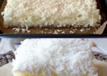 KOKOSKUCHEN MIT VANILLEPUDDING, Oh Mann Ist Der Lecker