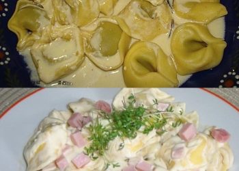 Tortellini mit Käse Sahne Soße, Mhmm ein Tolles Gericht!