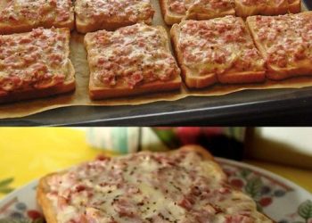 Pizzatoast in 10 Minuten fertig gebacken