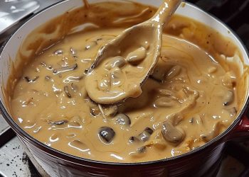 Schwarzwälder Jägersauce – Sehr Lecker Und Wird Gerne Wiederholt