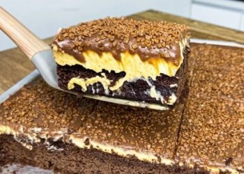 Schokotraum Kuchen mit Vanillepudding