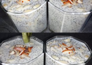 Chia-Pudding das beste Dessert zum abnehmen und es schmeckt sooo gut
