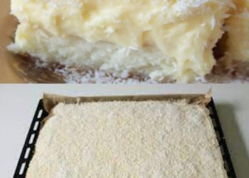 KOKOSKUCHEN MIT VANILLEPUDDING, Oh mann ist der lecker