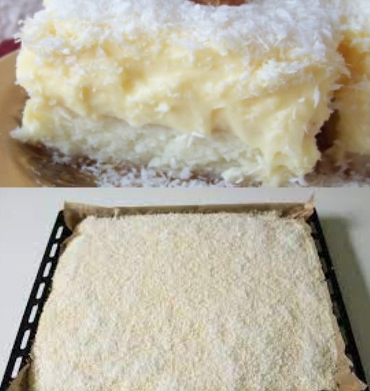 KOKOSKUCHEN MIT VANILLEPUDDING, Oh mann ist der lecker