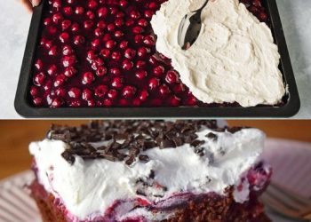 Schwarzwälder Puddingkuchen vom Blech mit 2 Gläser Sauerkirschen