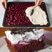 Schwarzwälder Puddingkuchen vom Blech mit 2 Gläser Sauerkirschen 