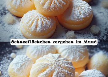 Schneeflöckchen zergehen im Mund