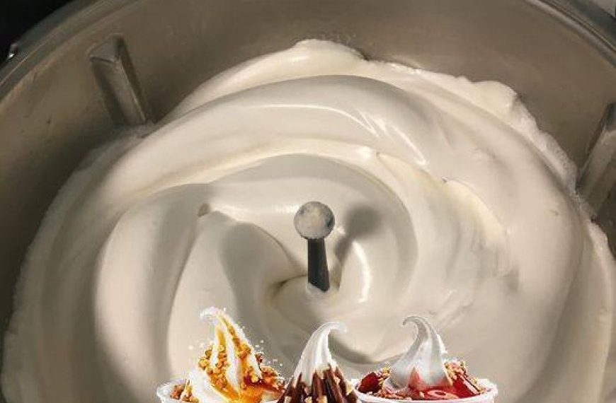 Sandy-Eis von Burger King mit Thermomix