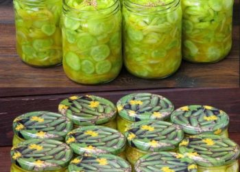 Das bereite ich jedes Jahr nur 2 kg Gurken und 3 Minuten kochen