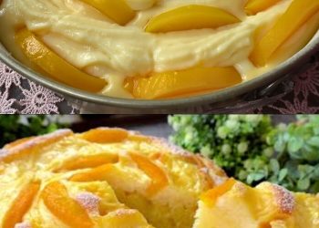 Aprikosenkuchen mit cremigem Pudding