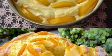 Aprikosenkuchen mit cremigem Pudding