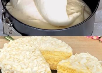 Kokos-Biskuitkuchen, luftig-leicht und schmeckt wunderbar!