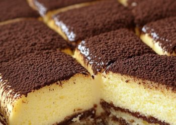 Puddingkuchen ohne Backen – Einfach & Cremig! 