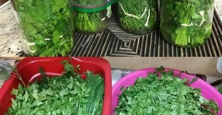 So bleibt Petersilie monatelang frisch und frisch